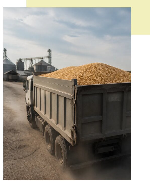 Перевозка сельхозпродукции навалом в Салавата по цене от 3201 р. | Агросервис-Слв